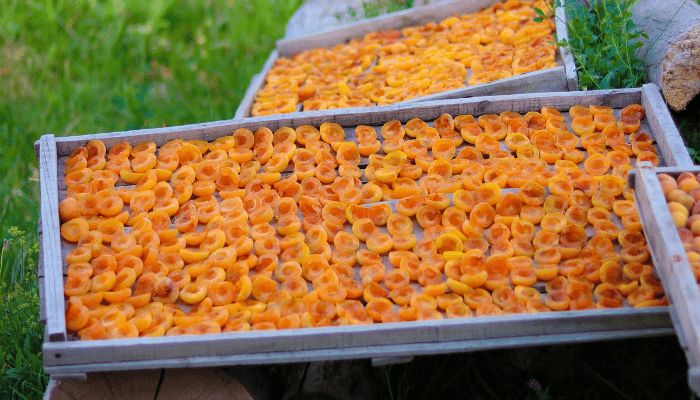 Natural Dried Apricots