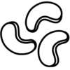 Nuts icon