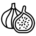 Fig icon