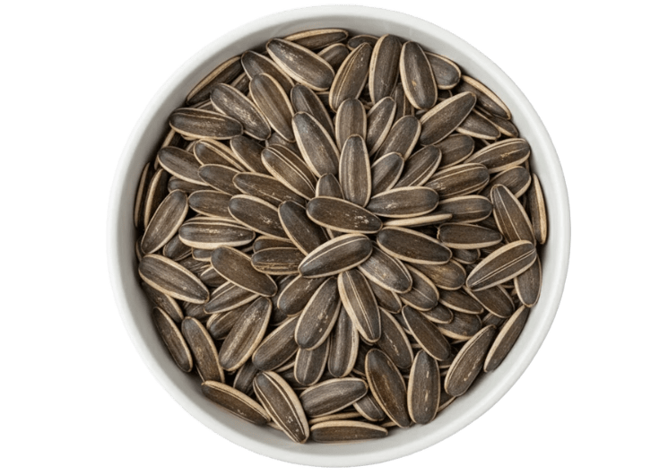 Sunflower Seed