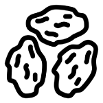 Raisins icon